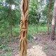 „Dievų parkas“