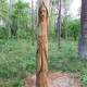 „Dievų parkas“