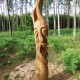 „Dievų parkas“