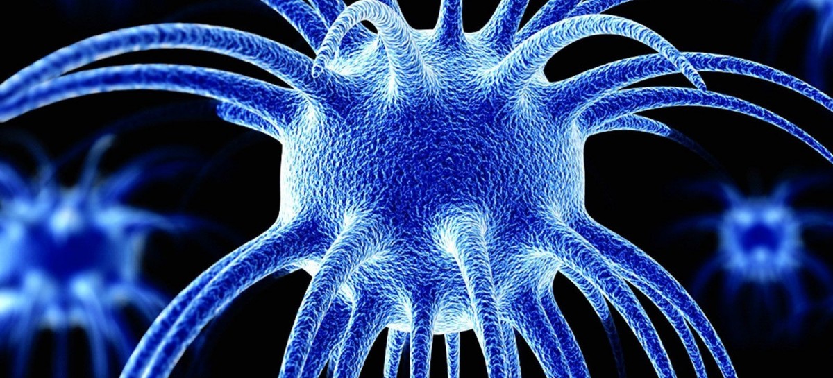 Déjà vu: Varėnos rajone skelbiama gripo epidemija