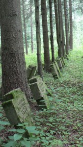 glukas