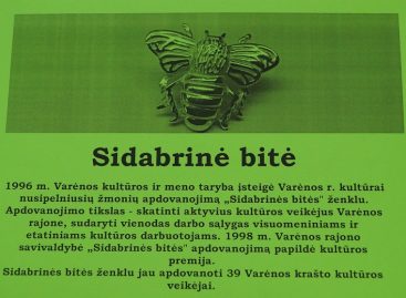 Sidabrinei bitei – 20 metų
